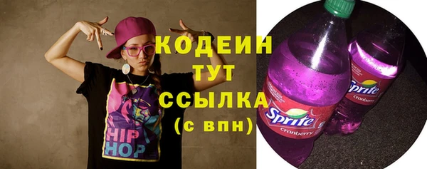 ECSTASY Инсар
