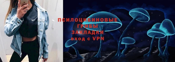 ECSTASY Инсар
