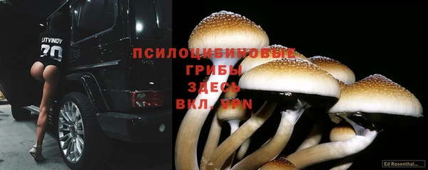 ECSTASY Инсар