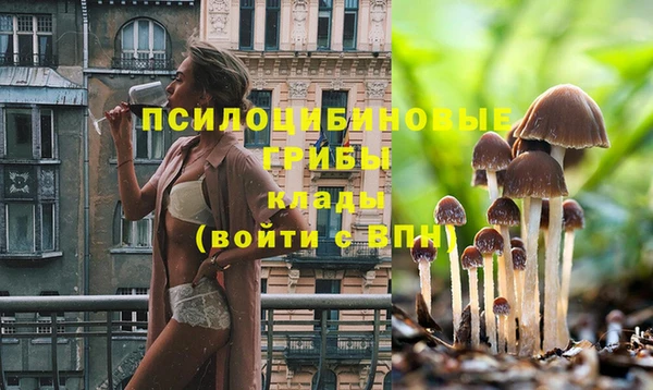 дурь Иннополис