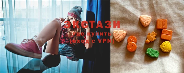 ECSTASY Инсар