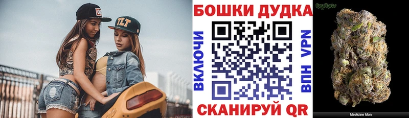 Бошки марихуана сатива  Купить закладки  Горно-Алтайск 